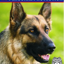 K9 Personal Protection Training