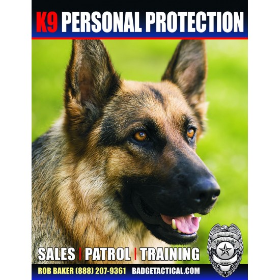 K9 Personal Protection Training